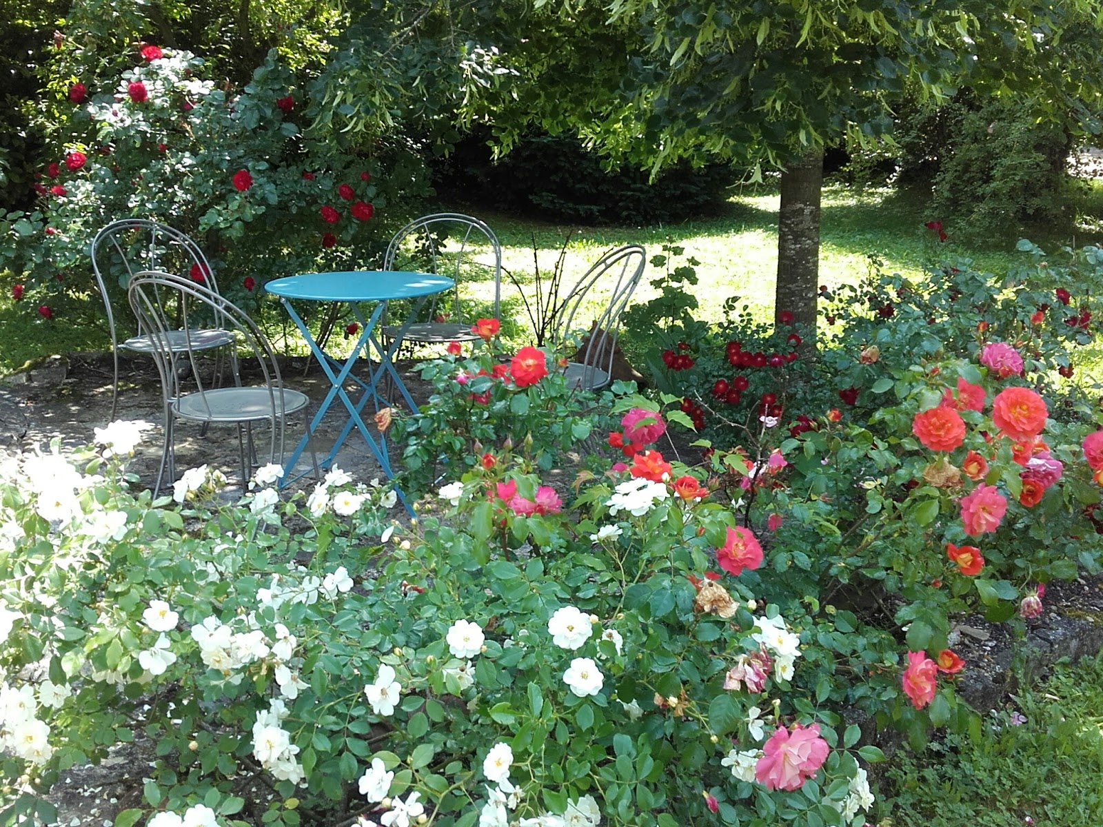 Zóó Majorie: En nog eens bloemen