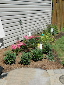 Dorset Park Scarborough back yard garden makeover after by Paul Jung Gardening Services Toronto