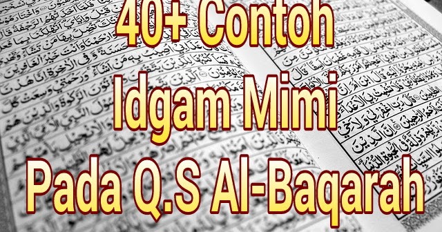 40 Pola Idgham Mimi Dalam Surah Al Baqarah Lengkap Beserta Ayat Dan Suratnya Download Firmware Terbaru