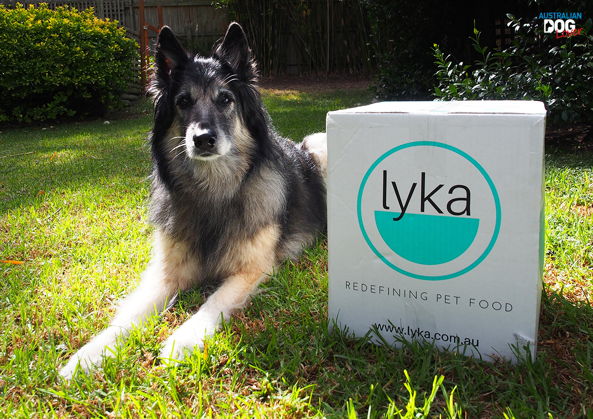 Lyka Pet Food Fresh Dog Food Delivery Review | Australian Dog Lover