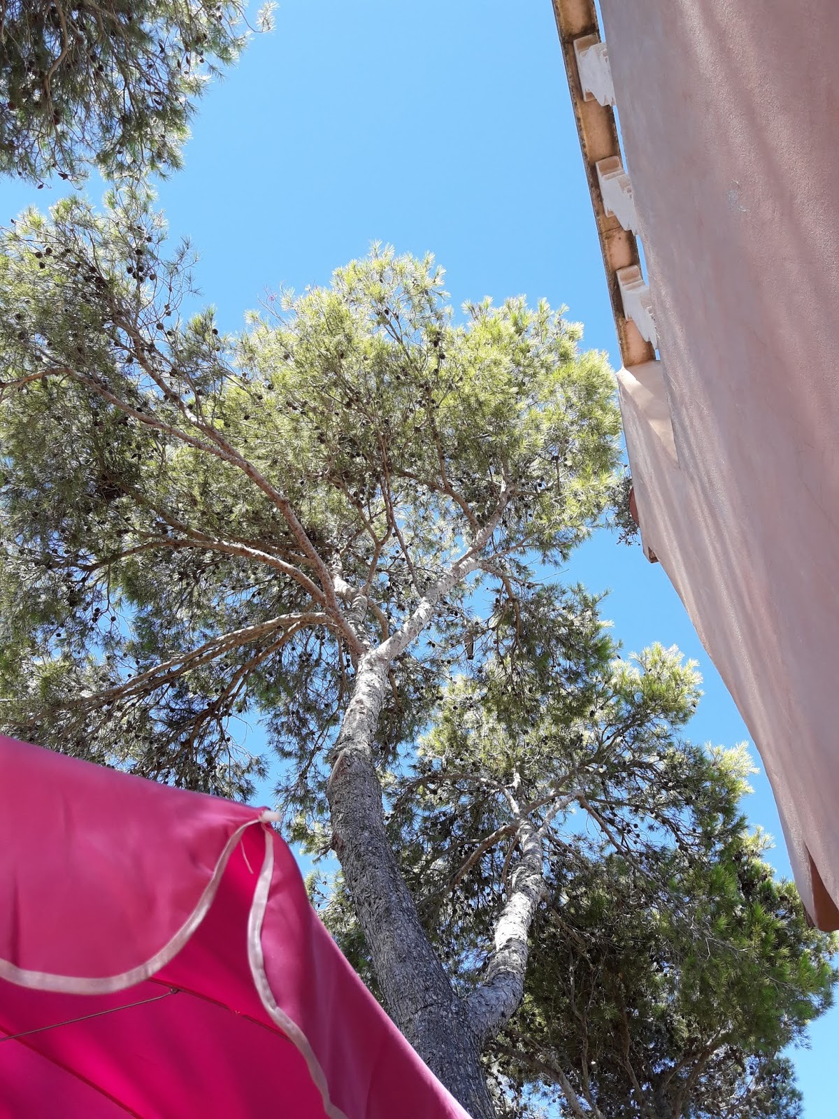 Liiviundliivi Juni 2015