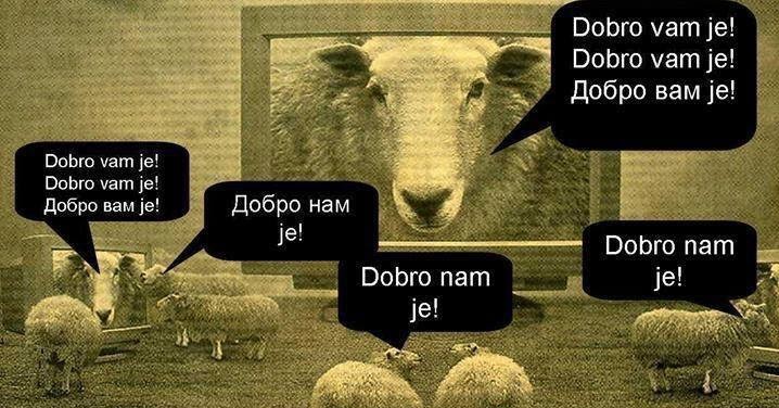 Zvezdani(n) dnevnik: Hrabri ljudi....