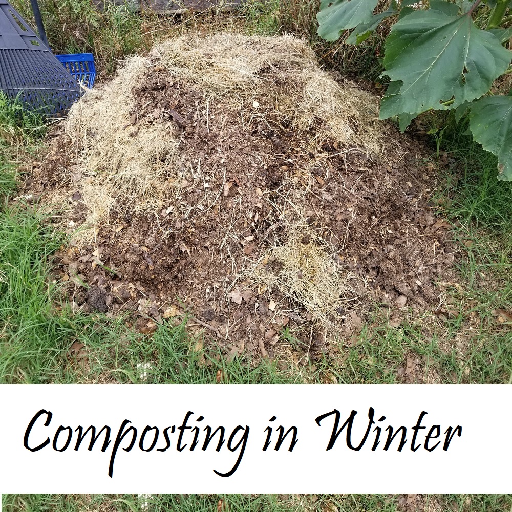 Composting in Winter Oak Hill Homestead