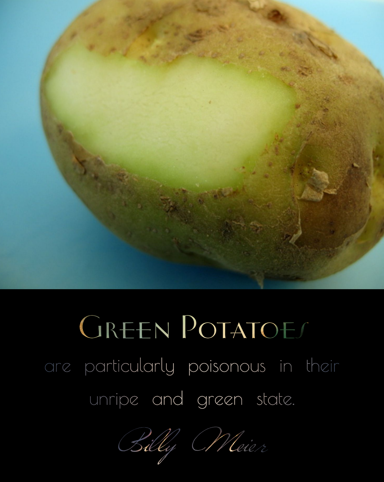 The Quest For Answers. To Everything. Green Potatoes Are Poisonous