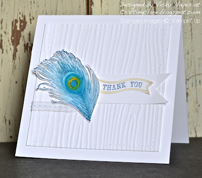 Fine Feathers from Stampin' Up