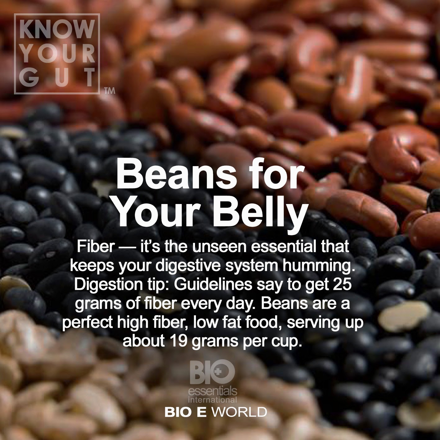 Beans for Your Belly