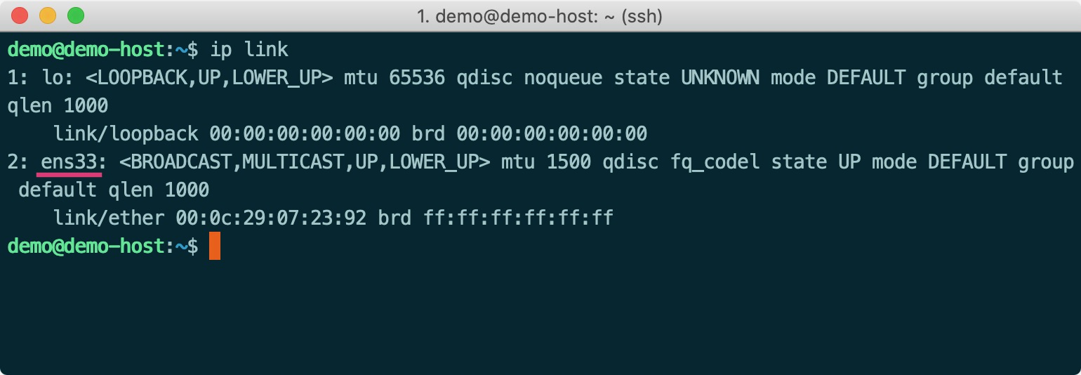 ip link 指令示意圖