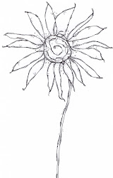 line drawings flower flowers doodle wonky drawing screen thermofax sketches daisy doodles simple floral sketch draw sloan carol field project
