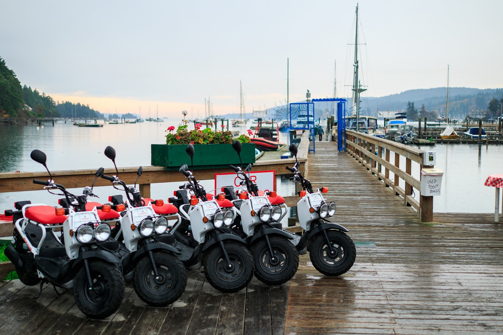 Salt Spring Island 
