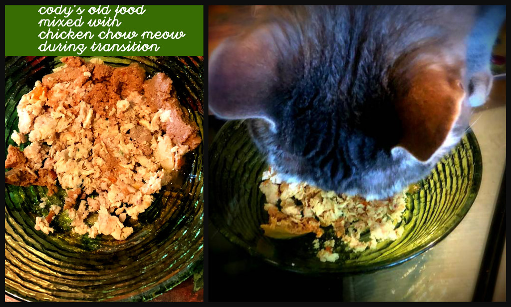 Cat and DOG Chat With Caren NomNomNow Cat (and Dog!) Food FRESH