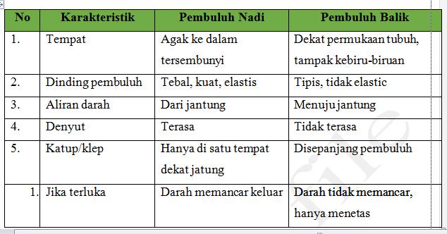 AlatAlat Peredaran Darah SMA KLS XI Biologi