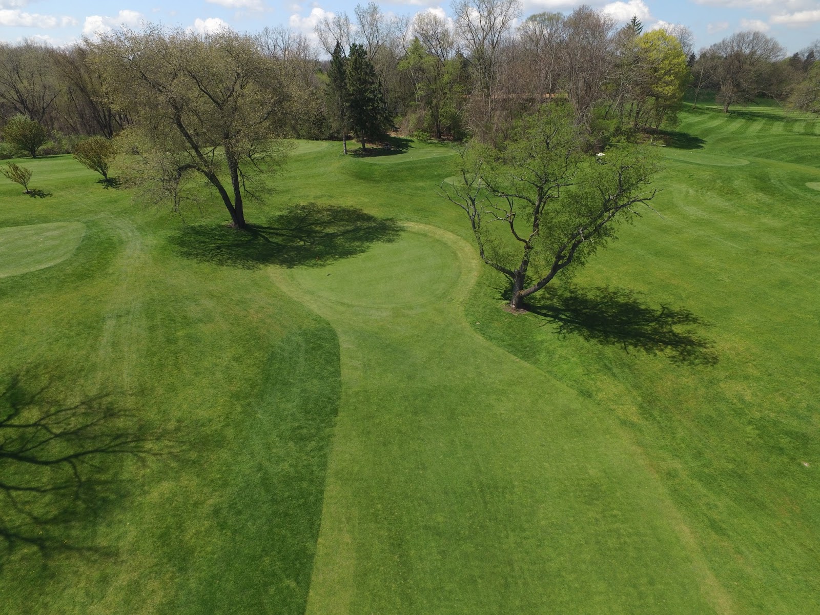 Tree Town Turf Guy Huron Hills Golf Course