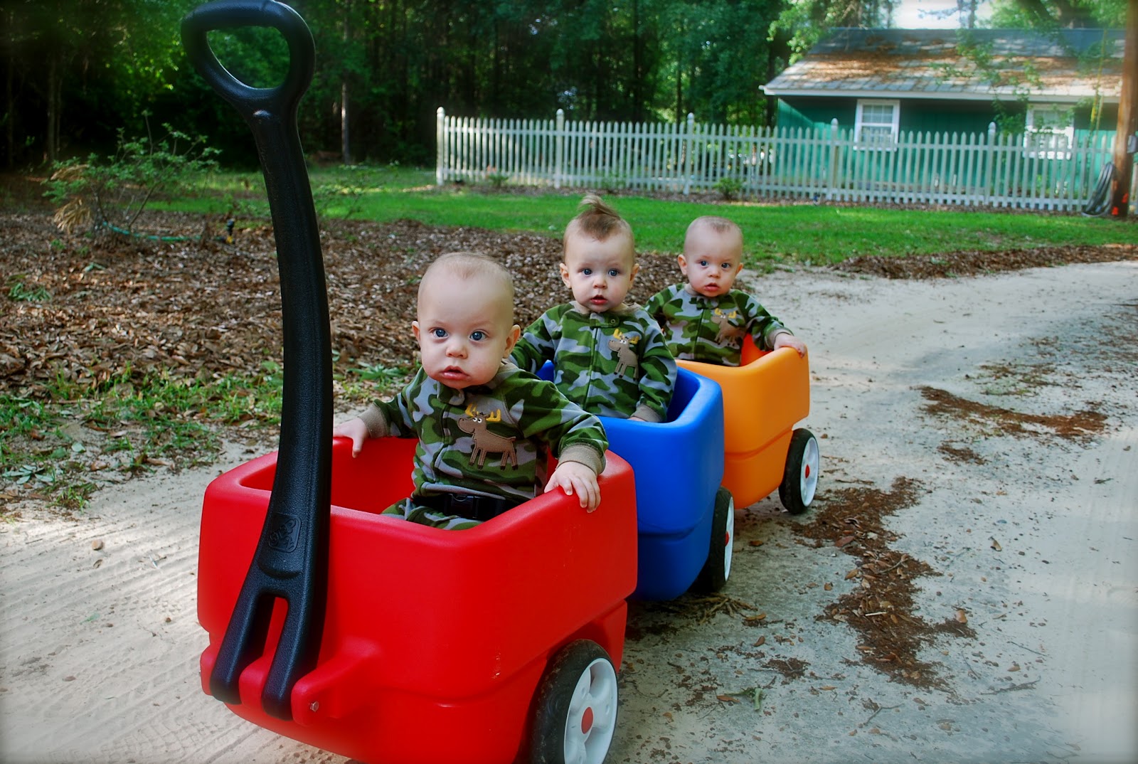 30 Fingers, 30 Toes... : The Choo Choo Wagon