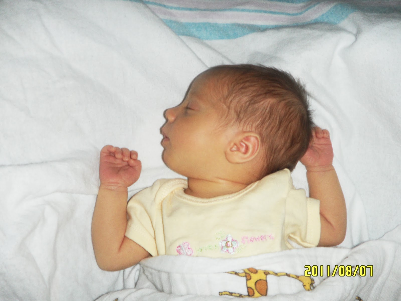 Newborn arch back - tastecap