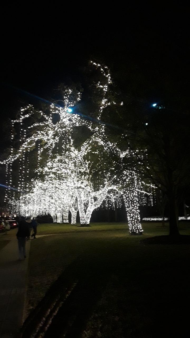 River Oaks Christmas Lights River Oaks Christmas Lights