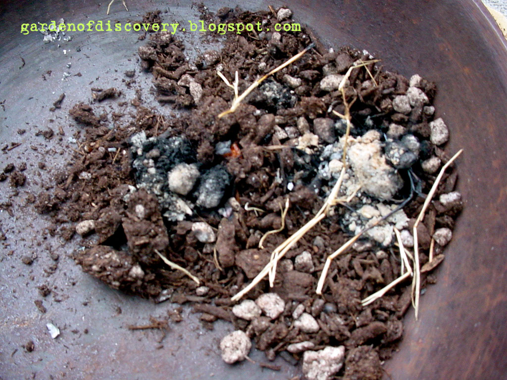 Garden of Discovery Fire In The Hole! Potting Soil Flammability Test