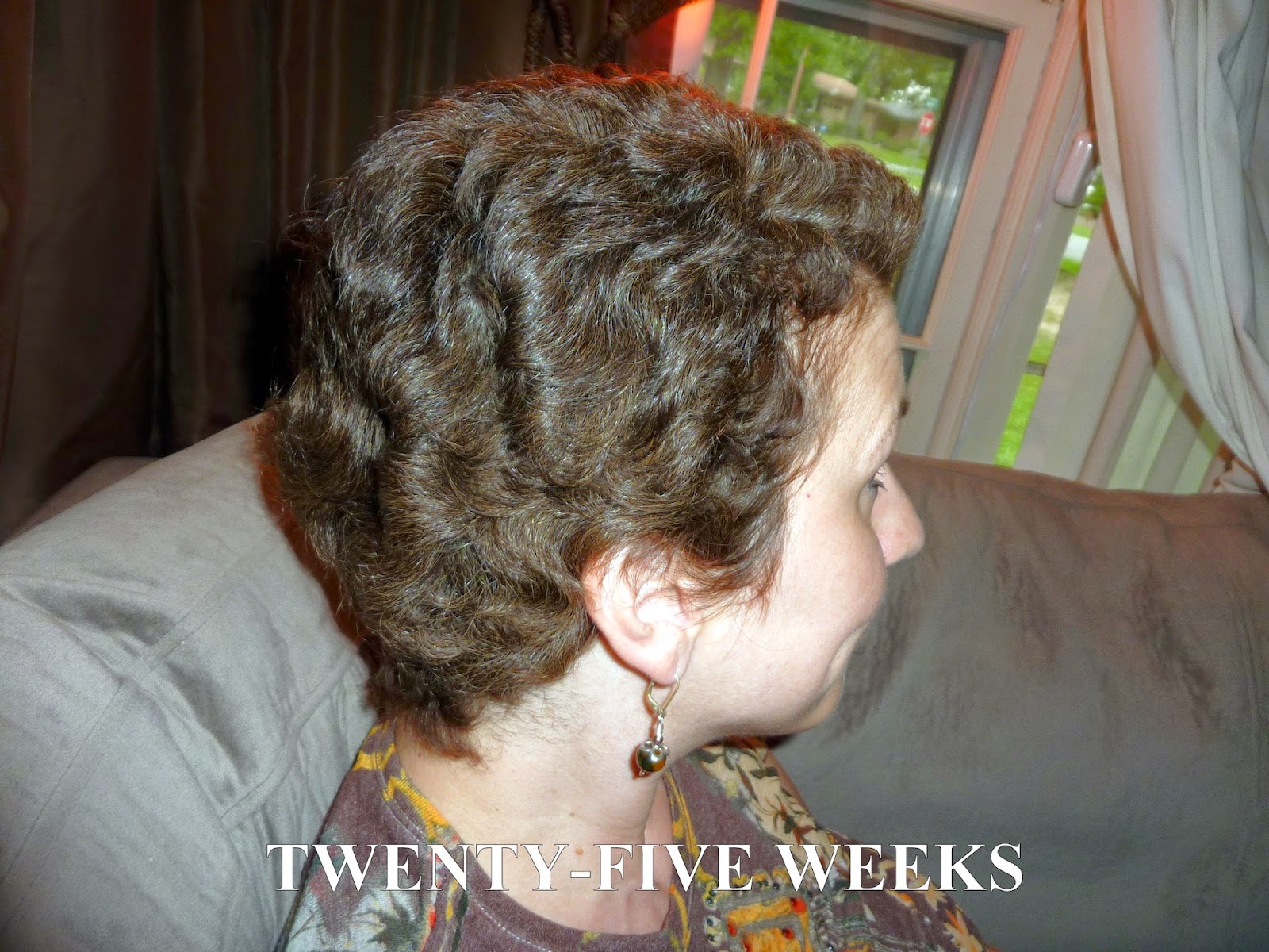 Anncredible: Hair Growth Progression after Chemo- Six Months with UPDATE!