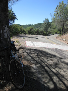 My bike leaning against a tree near the "white line of death"