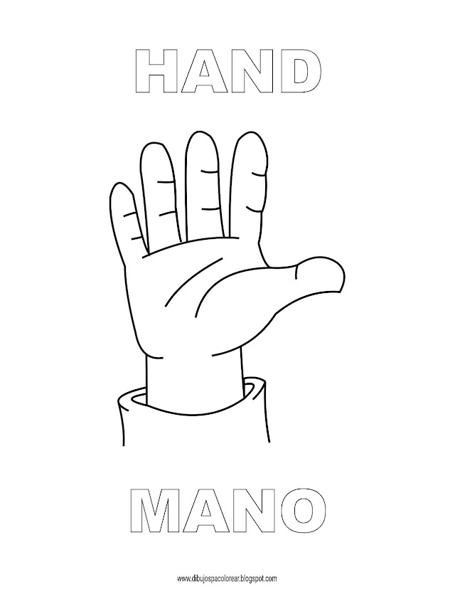 Dibujos Inglés - Español con M: Mano - Hand