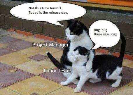 Not this time Junior! today is the release day. Project Manager. Bug ...