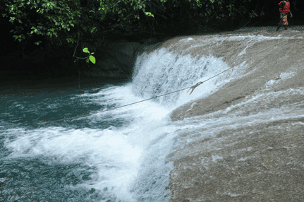 Lorem ipsum dolor sit amet consectetur adipiscing elit