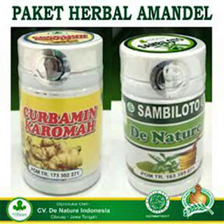 Obat Amandel De Nature