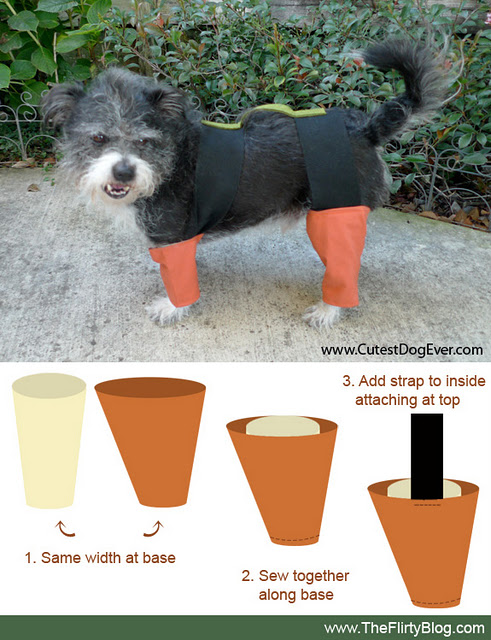 chia pet costume tutorial