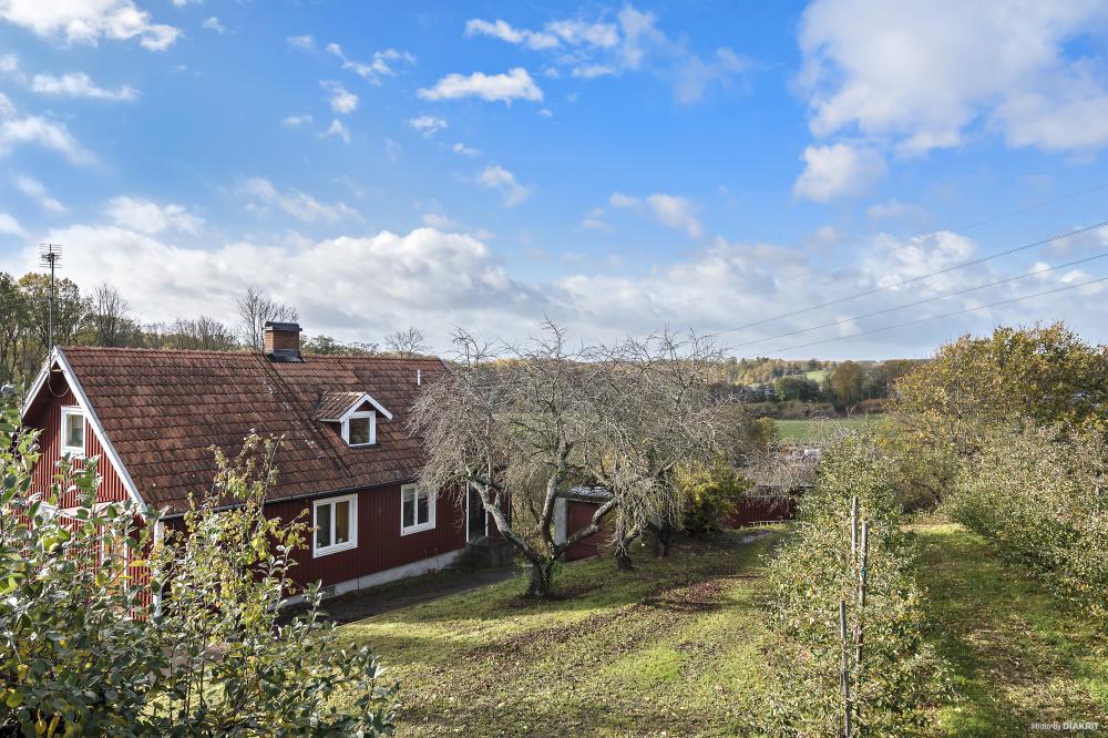 Real estate for sale in nice locations of Sweden in Sweden Estates