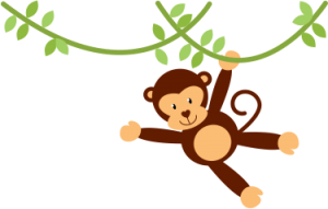 png safari png png safari png