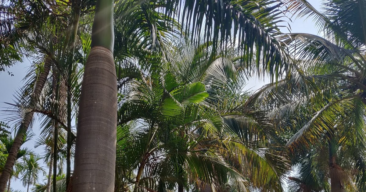 A Lovely Family Getaway At Aalaya By Happy Retreats