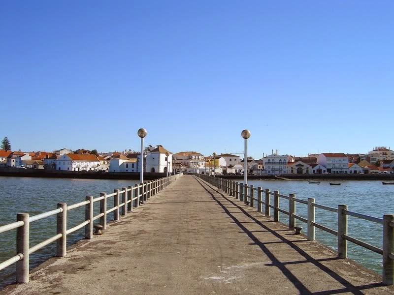 Munícipes de Alcochete aderiram bem aos oleões