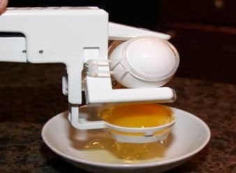 egg.jpg
