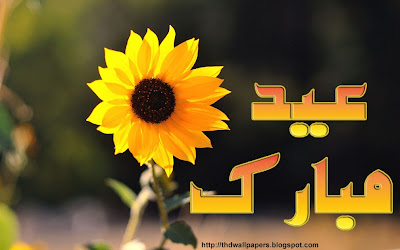 Eid Ul Adha Zuha Mubarak Flowers Wallpapers Greeting Cards in Urdu 002