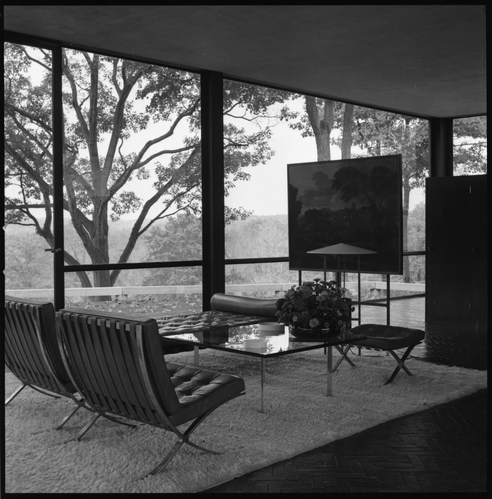 Smithsonian Collections Blog Hiding in Plain Sight