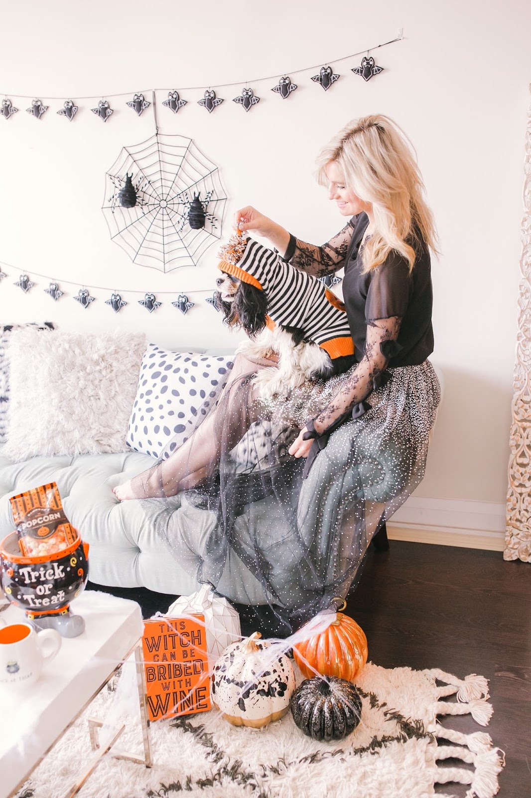 Bijuleni - How to Decorate Your Living Room for Halloween - Cavalier King Charles Spaniel