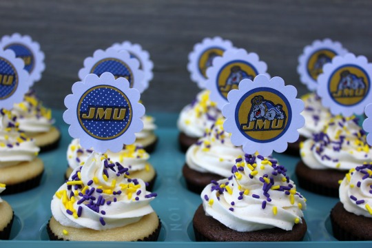 JMU Dukes Cupcakes