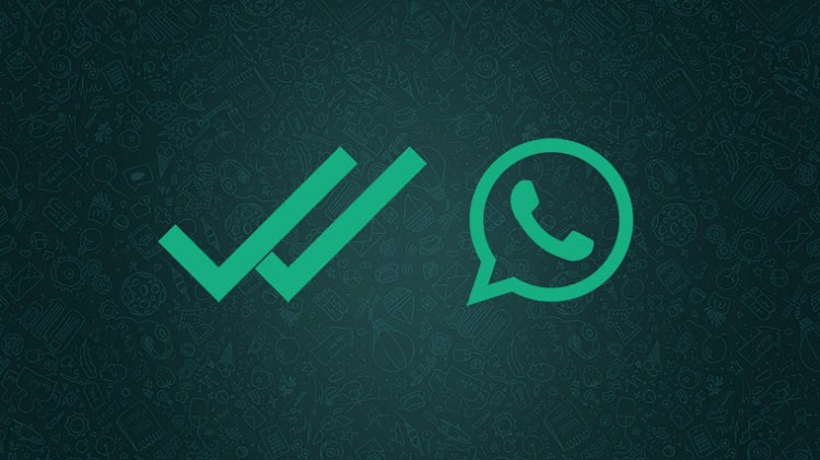 Penjelasan Lengkap Tentang Tanda Centang di WhatsApp Penjelasan Lengkap Tentang Tanda Centang di WhatsApp