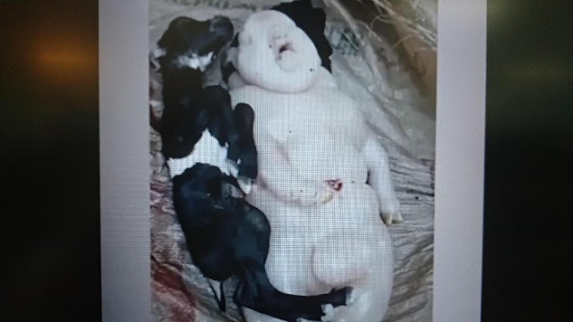 Pertanda Apa Ini? Seekor Kambing Lahirkan Anak Mirip Babi dan Manusia