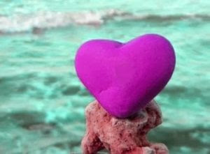 love whatsapp profile images love whatsapp profile images