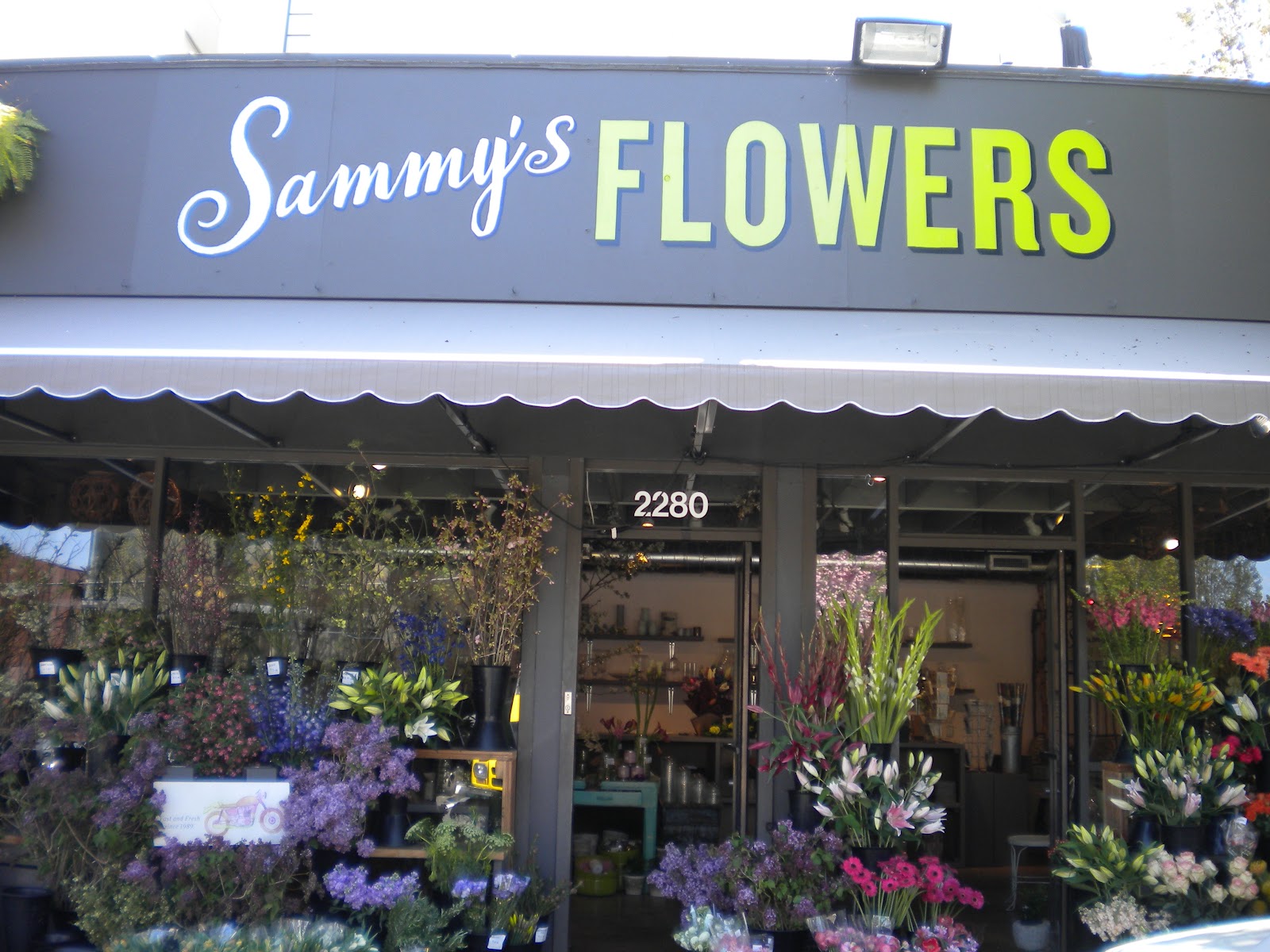 Tied Up In Ribbon A Sunny afternoon in NW Portland