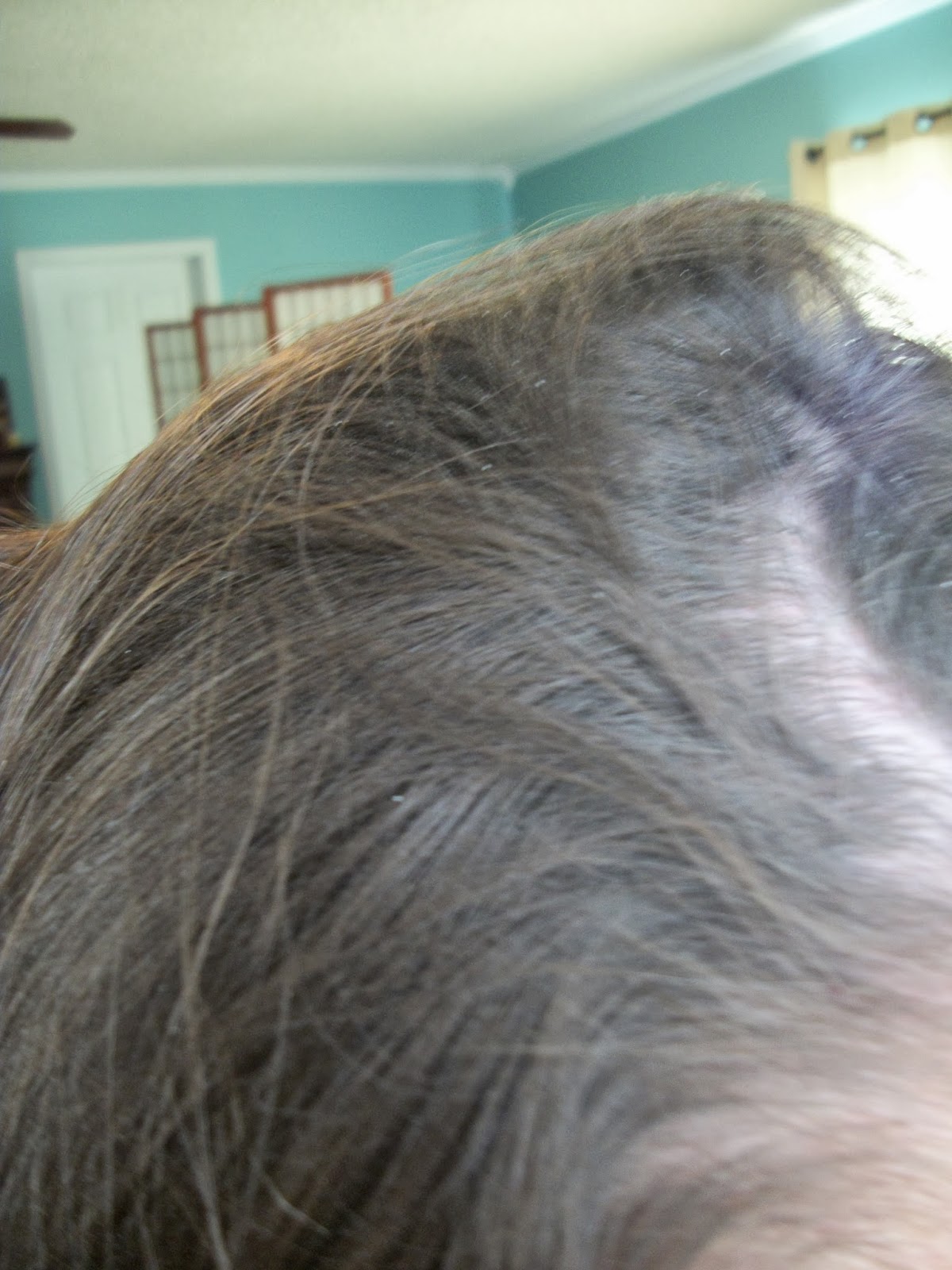 The Real Mom Review One BAD Dry Shampoo AVOID 