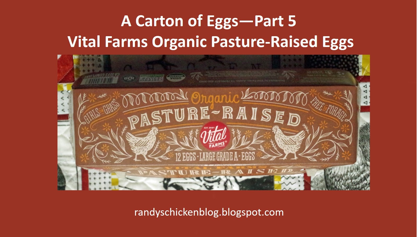 Large & Extra Large Eggs (dozen) - BP Farms
