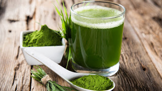 barley-grass-powder