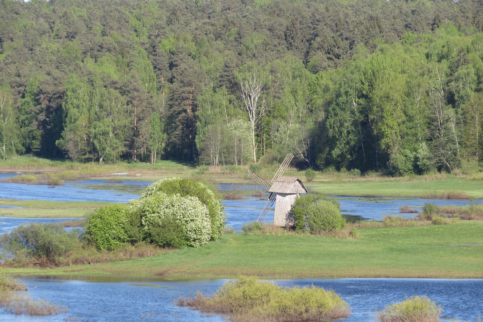 Савкина гора пушкинские горы