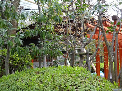 白長大神五社稲荷大神地主大神 白長大神五社稲荷大神地主大神