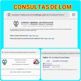 CONSULTAS L.O.M.