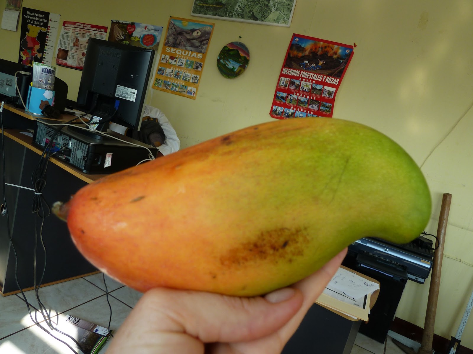 Vida in the Milpas: June 2013