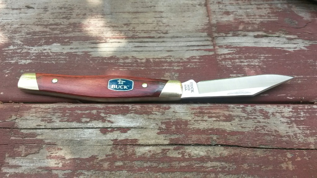 Buck%2B302b_zps8io5xxml.jpeg