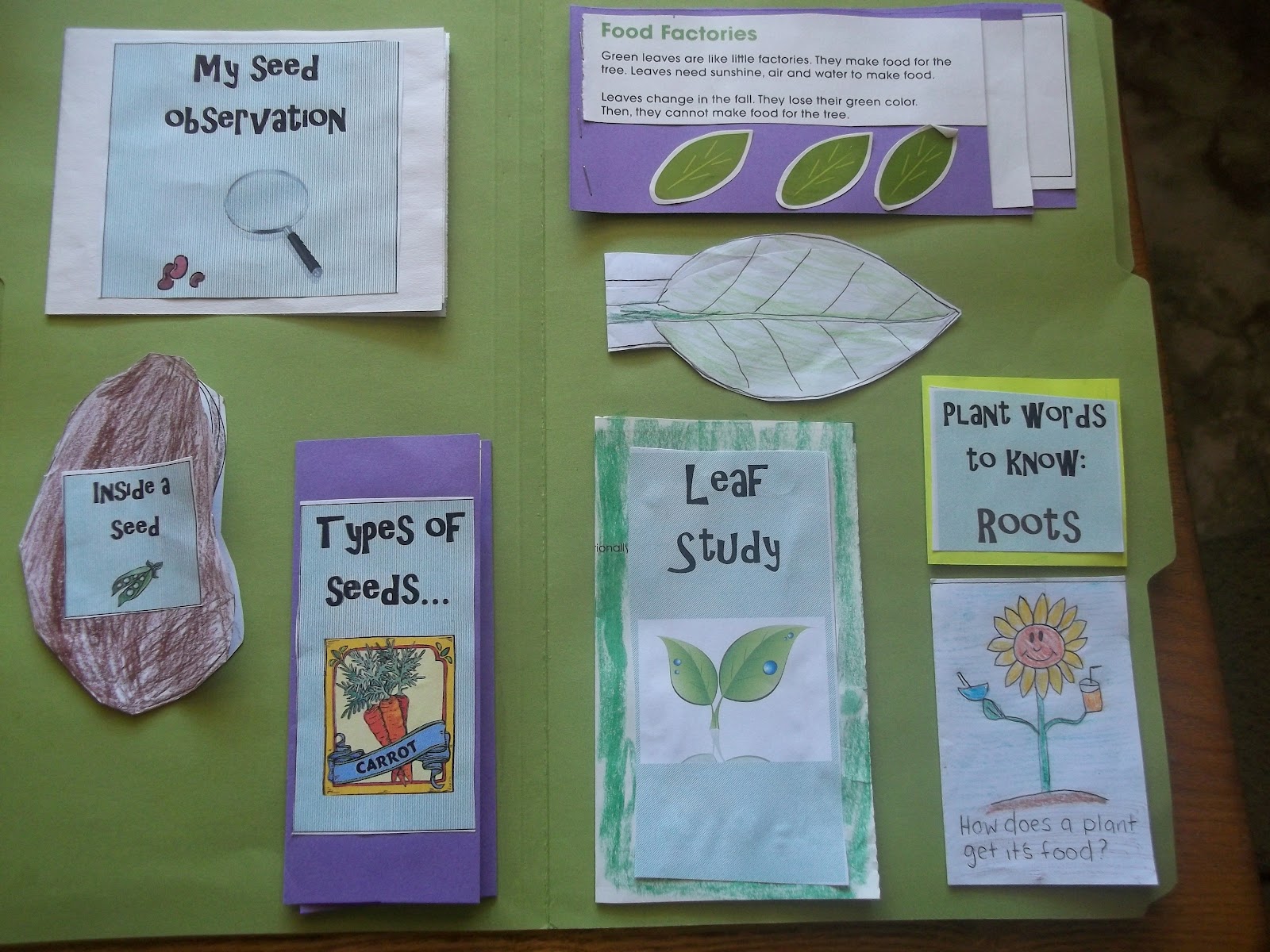 Plant Science Lapbook and Unit study Piwi Kids