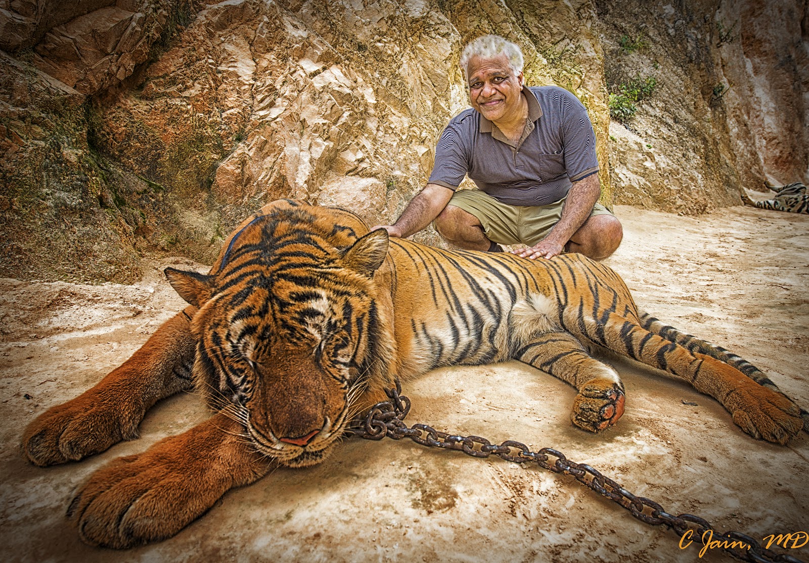 Tiger Temple Tiger Temple